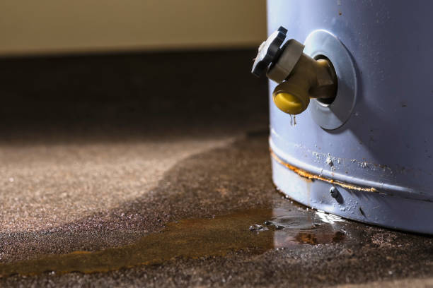 Best Sewage cleanup and water damage restoration  in Middlebranch, OH