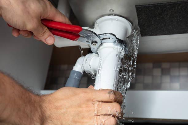 Best Mold removal after water damage  in Middlebranch, OH