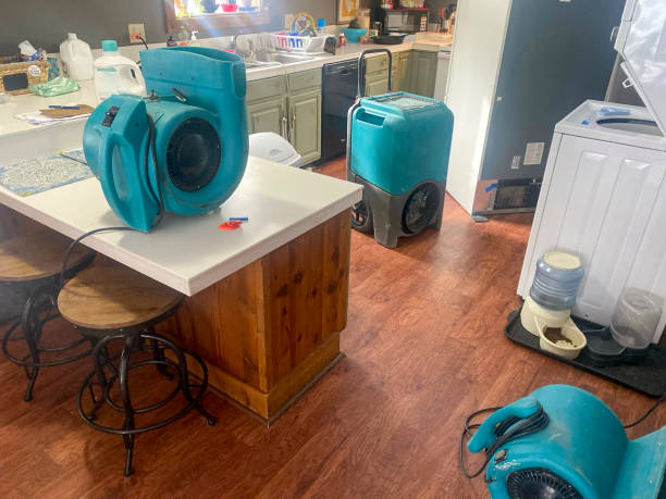Best Emergency water damage restoration  in Middlebranch, OH