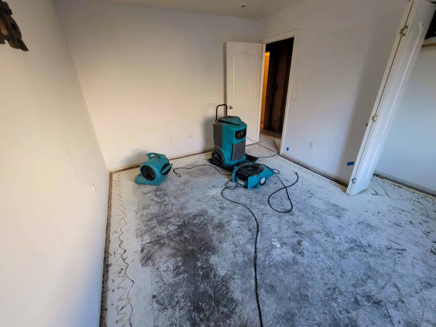 Best Fire Damage Restoration  in Middlebranch, OH