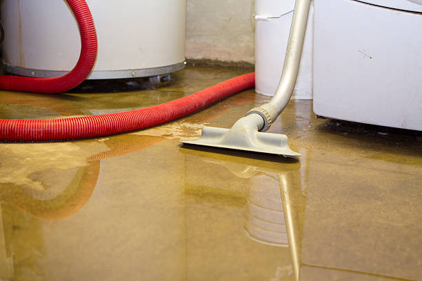 Best Flood restoration services  in Middlebranch, OH