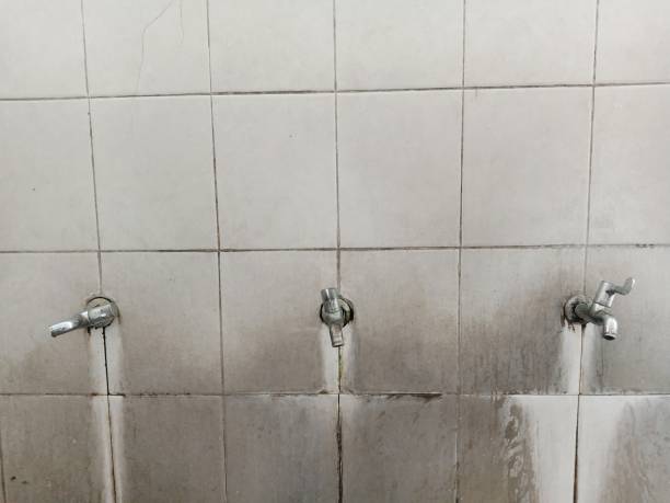 Best Flooded house restoration  in Middlebranch, OH