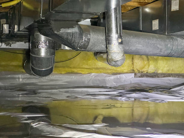 Best Local water damage restoration  in Middlebranch, OH