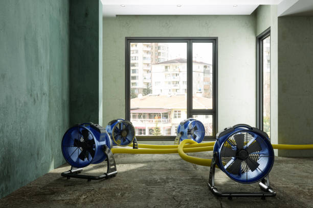 Best Water damage restoration company  in Middlebranch, OH