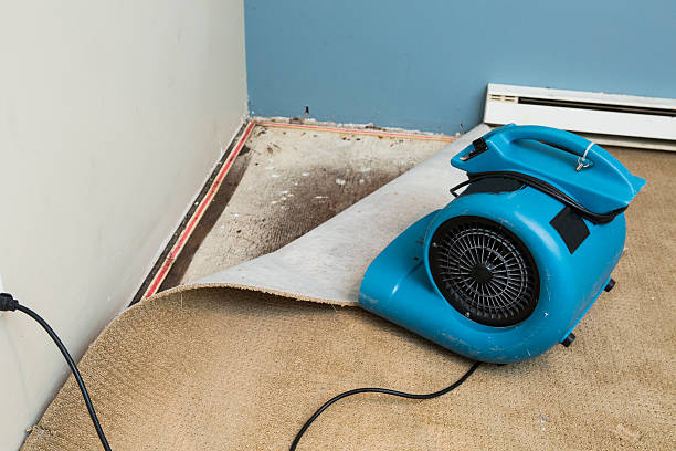  Middlebranch, OH Water damage restoration Pros